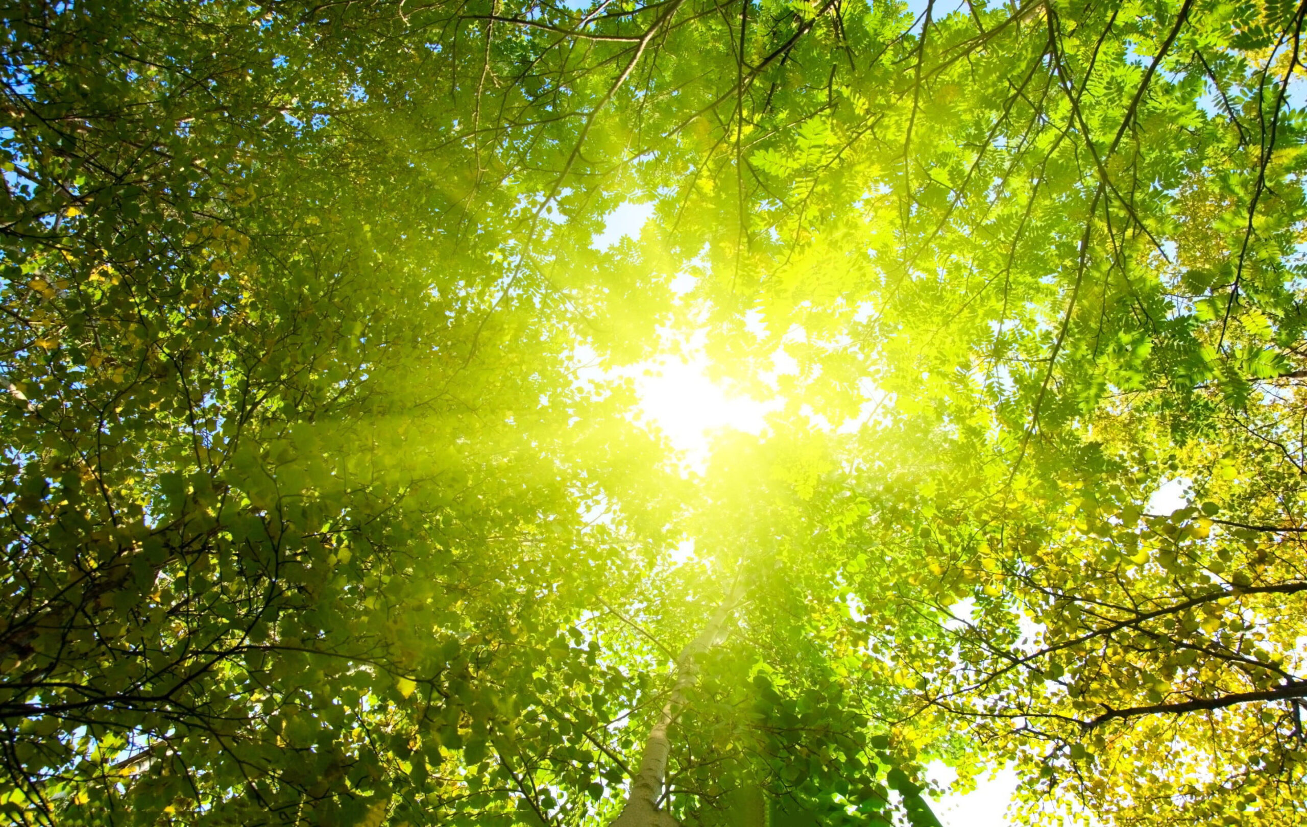 Uống nước trong mùa hè: chuyện nhỏ không nên xem nhẹ